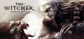 The Witcher